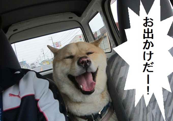 8cad39e4104c18d53f3655342d36df4e