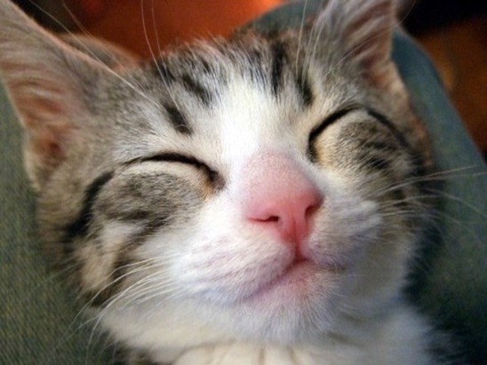 __sr_1f1c64d8_4e60504b