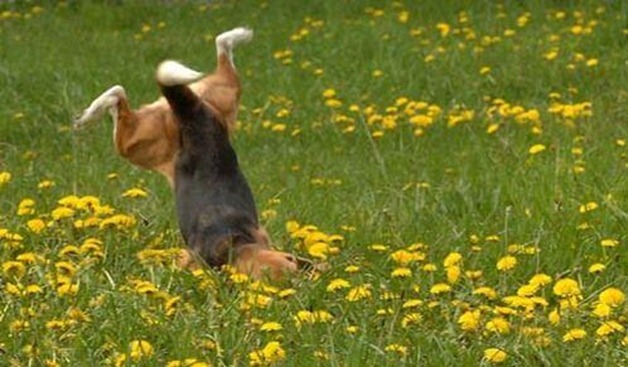 5a1d8c3d2a56c9cf165ca7065ff5e458