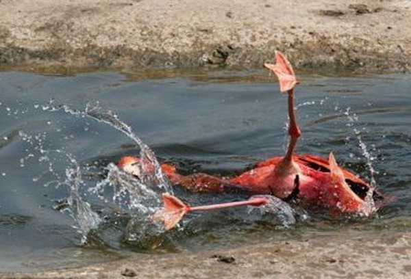 o0400027211166944572