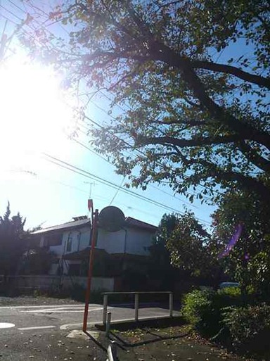 KIMG3218_thumb